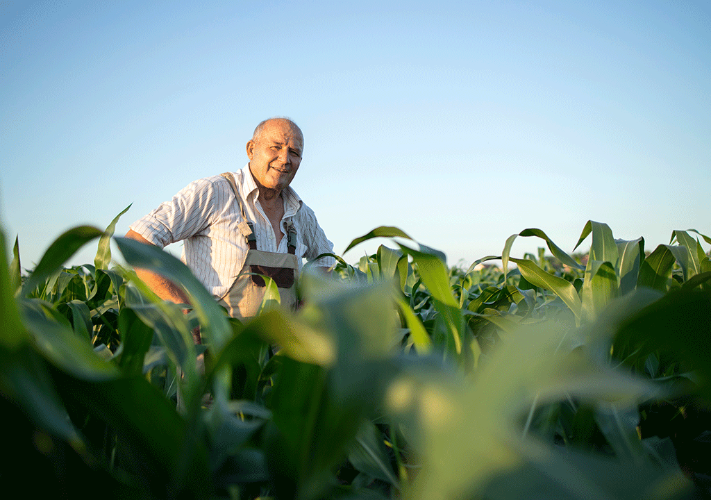 Tekyatağanlı Tarım Makinaları