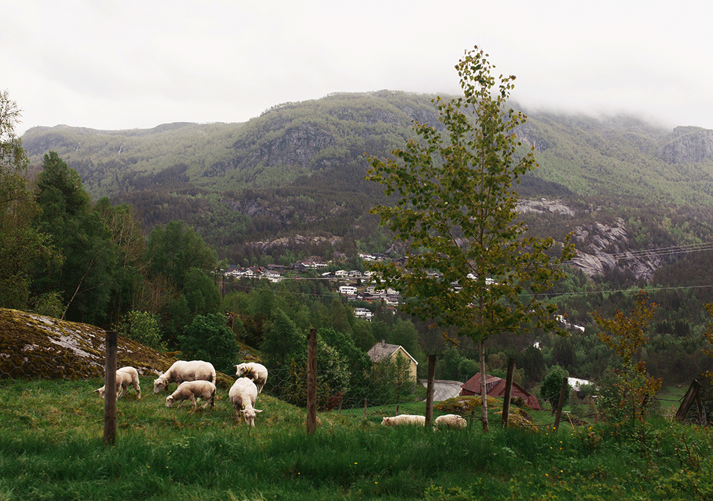 Tekyatağanlı Tarım Makinaları